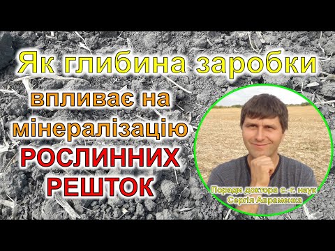 Видео: Як глибина заробки впливає на мінералізацію рослинних решток