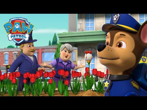 Видео: Търсенето на рядкото лале и още! - PAW Patrol Bulgarian - карикатури за деца