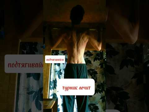 Видео: Подтягивайся и будь здоров #турник #подтягивания #спина #shorts