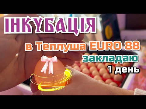 Видео: ✅ІНКУБАЦІЯ в Теплуша EURO 88🐣1️⃣ДЕНЬ💛💙 РОЗПОЧИНАЮ🥳позначаю, температура, вологість