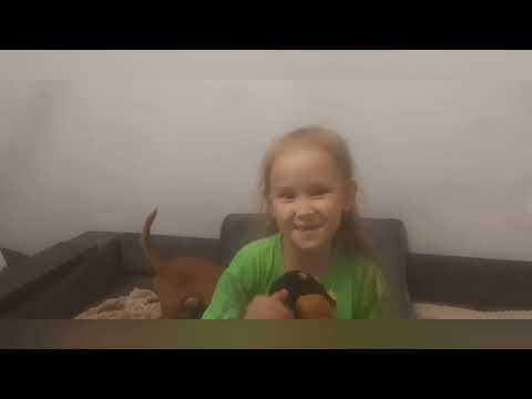 Видео: Обзор диска Смешарики "Мисс вселенная"