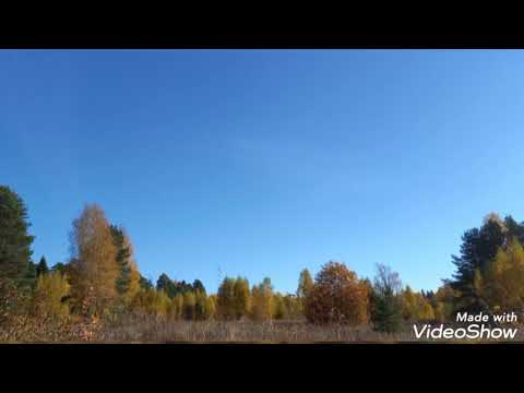 Видео: Проповедь иеромонаха Мефодия (Зинковского). Возьми одр твой и ходи