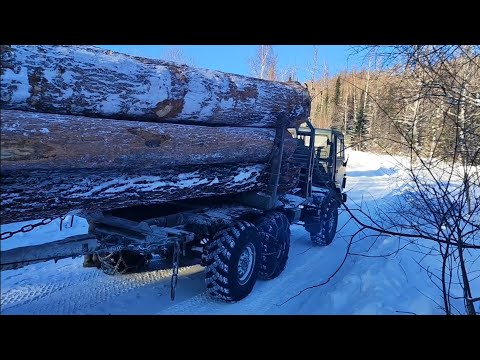 Видео: Вывоз леса в минус 35°. Очень красиво🔥 