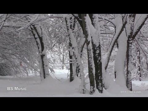 Видео: Тараданов Олег - Белый снег
