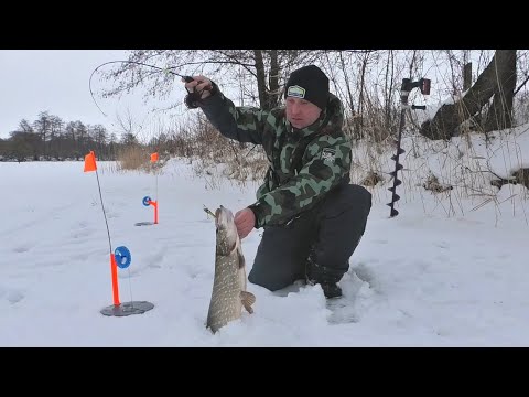 Видео: ЗАБРАЛИСЬ В ГЛУШЬ И ОСТАЛИСЬ С НОЧЕВКОЙ. Натаскал щук на балансир. Рыбалка в палатке с комфортом