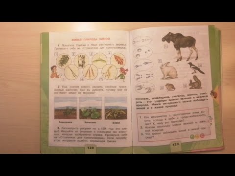 Видео: как НАД ДЕТЬМИ ИЗДЕВАЕТСЯ учебник по ОКРУЖАЮЩЕМУ МИРУ