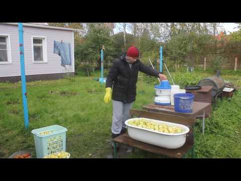 Видео: Яблочный сок.Отжим.Пастеризация.Розлив.
