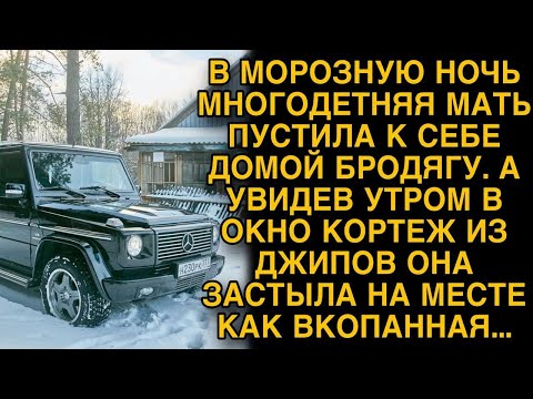 Видео: Доярка пустила погреться бродягу, а утром увидела кортеж из джипов...