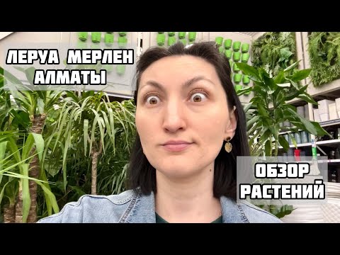 Видео: Покупать РАСТЕНИЯ в Леруа Мерлен??? ОБЗОР с Ценами, Алматы