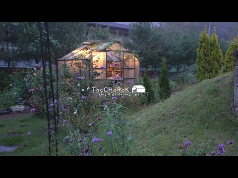 Видео: Октябрьский сад | Садоводство | Жилой сад | Советы по садоводству и велогонству
