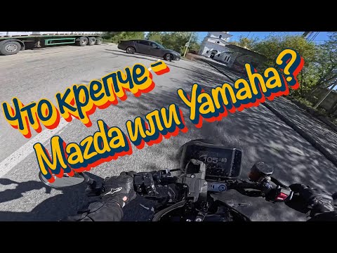 Видео: Мото истории #5/Собака, кошки, козел и другие приключения байкера.