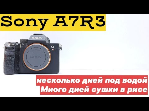 Видео: Несколько дней лежал под водой sony A7RM3