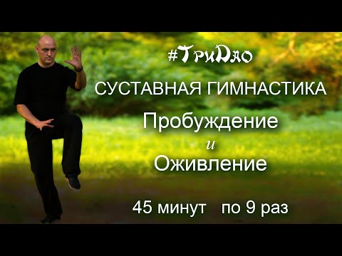 Видео: Суставная гимнастика: Пробуждение и Оживление (45 мин. по 9 раз)