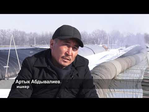 Видео: Композитор Абидиндин керемет күнөсканасы