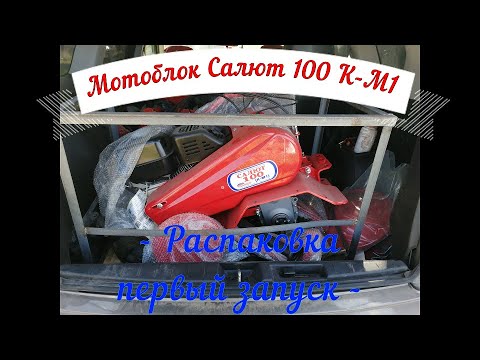 Видео: Мотоблок Салют 100 К-М1 с двигателем Kohler/распаковка/первый запуск #мотоблок