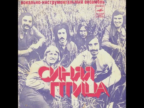 Видео: Клён Синяя Птица