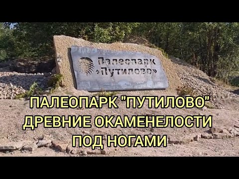 Видео: Палеопарк "Путилово". Древние окаменелости под ногами.