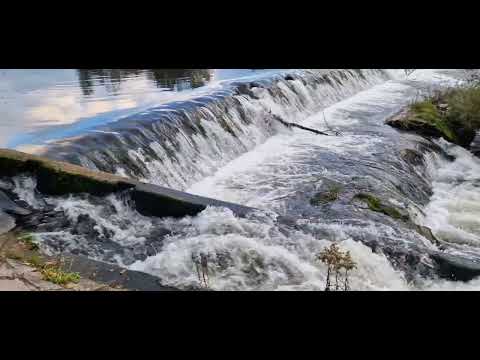 Видео: Белый шум воды. 5 минут видео для расслабления. Водопад. Звуки природы. Выход негатива. #белыйшум