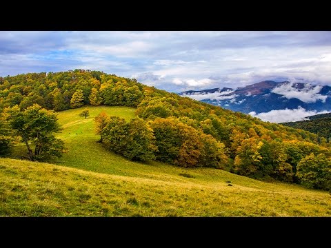 Видео: Невідома сторона Закарпаття (похід в Карпати / trekking in the Carpathians)