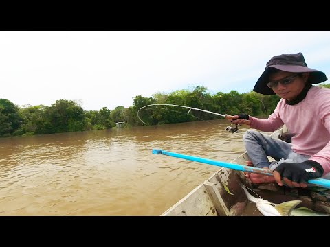 Видео: Удивительно. С помощью крошечной удочки он поймал большую рыбу