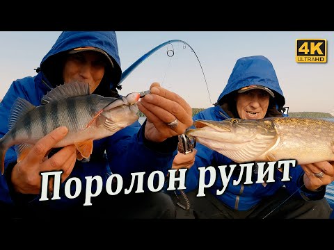 Видео: Рыбалка на ДЖИГ. Осенью поролон круче всех