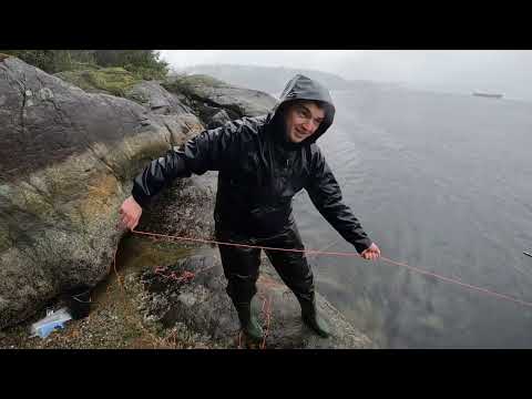 Видео: Ловля Крабов в Ванкувере