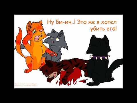 Видео: мемы про котов воителей