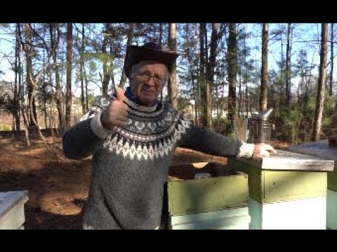 Видео: Пасека# 152 Как Исправляется Трутовая Семья в Феврале и осмотр ещё двух семей