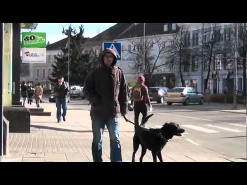 Видео: Филипп Киркоров "Я себе придумал эту жизнь" док.фильм