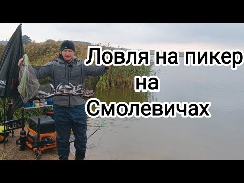 Видео: Рыбалка на пикер на Смолевичах. Поехал ловить плотву, а брала уклейка😉