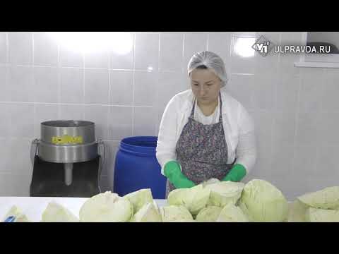 Видео: Мое дело. Как семья из Димитровграда «насолила» бизнес на арбузах и винограде