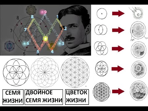 Видео: Сакральная геометрия , цветок жизни