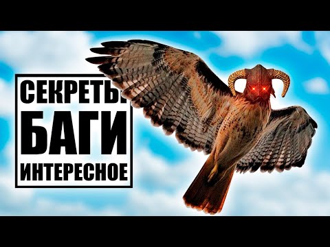 Видео: Skyrim - Секреты, Баги и Интересное в Скайриме ( Секреты 355 )