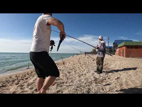 Видео: рыбалка на пелингаса в Бердянске 11.05.24
