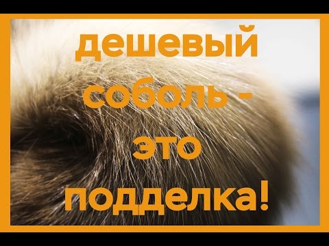 Видео: Дешевый соболь-подделка!