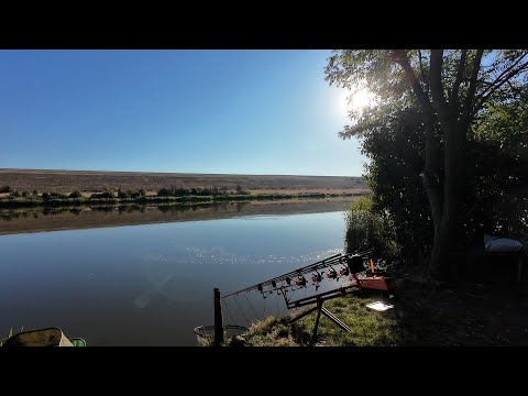 Видео: Красивейшее место для ловли КАРПА и АМУРА.
