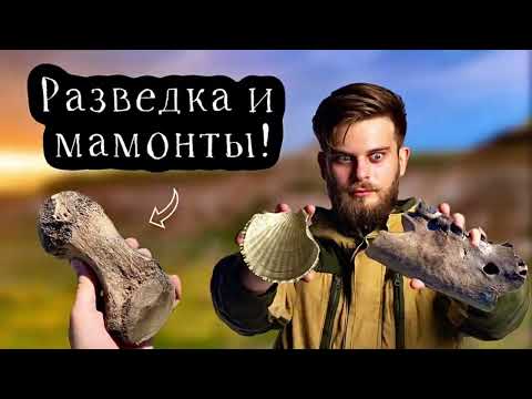 Видео: ОКАМЕНЕЛОСТИ из новых точек! Ищу МАМОНТОВ и других вымерших животных!