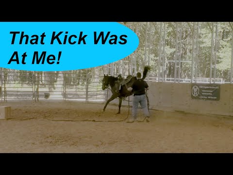 Видео: Новый был полон рук.