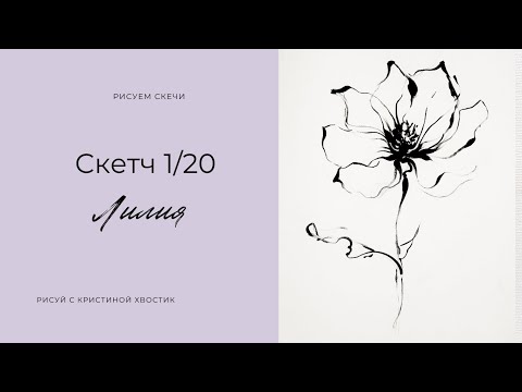 Видео: 🎨 Как научиться рисовать скетчи | Урок рисования для начинающих 1/20. Рисуем Лилию