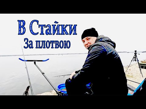 Видео: В Стайки за плотвою. Фідер восени. Осіння плотва #fishing #feeder #риболовля #рибацькийдвіж