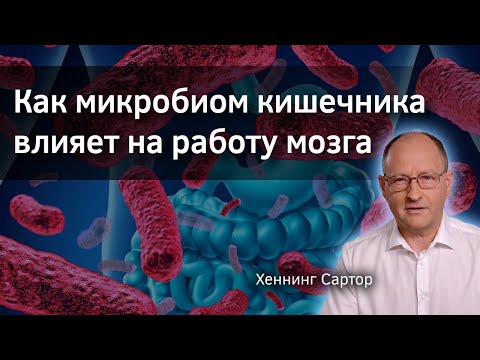 Видео: Как микробиом кишечника влияет на работу мозга. Хеннинг Сартор. Верба Майер. Микробиота