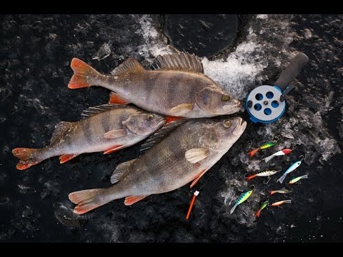 Видео: Ловля окуня на балансир.