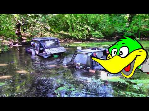 Видео: Зубры 2023 трофи рейд временная точка