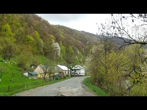 Видео: ☘🌷Весна.Закарпатські Гірські села. Драгово... Закарпатський діалект.