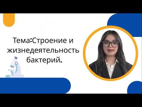 Видео: УРОК 20|7 класс. Строение и жизнедеятельность бактерий