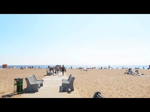 Видео: 【Влог】🎇День города Зеленогорск・🌿Сбор Черники с папой в лесу・🌅Финский залив・🌳ЗПКиО・⚓Санкт-Петербург