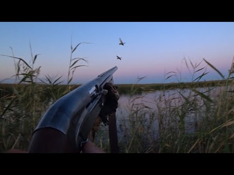 Видео: ПАЧКА ПАТРОНОВ И ЗА УТКОЙ НА ОХОТУ
