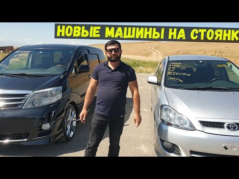 Видео: ALPHARD. IPSUM  Новые машины на стоянке🚘🚘👍👍