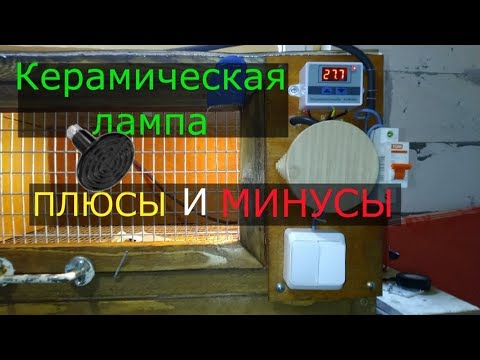 Видео: Керамические Лампочки для Брудера. Плюсы и минусы