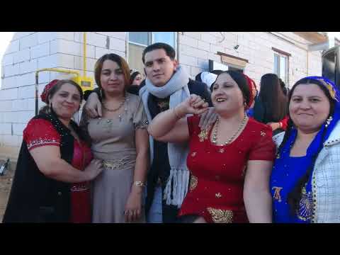 Видео: 08.11.23 Новоселье Кузи Верхняя Ельшанка Цыгане Волгоград